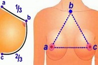 Формула для проверки упругости груди